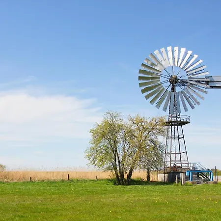 Lägenhet Rex Rugia Haus 17 06 Lobbe