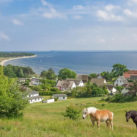 Lägenhet Rex Rugia Haus 17 06 *