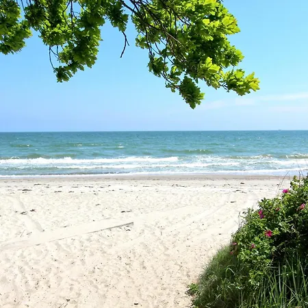 Rex Rugia Haus 17 06